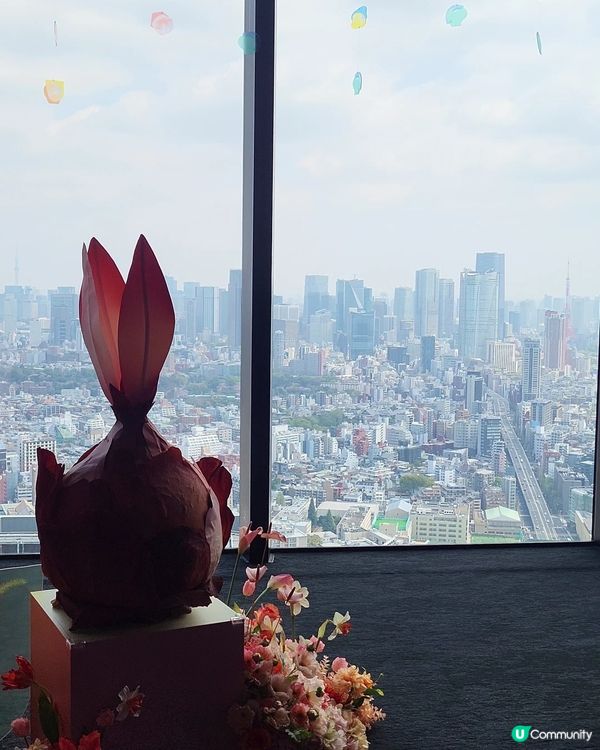 🇯🇵Shibuya Sky限定展打卡攻略‼️春季展