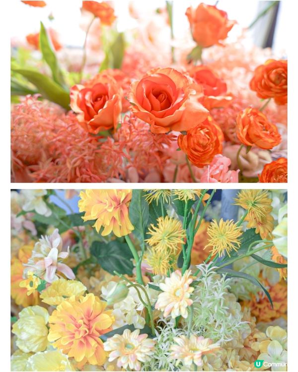 🇯🇵Shibuya Sky限定展打卡攻略‼️春季展