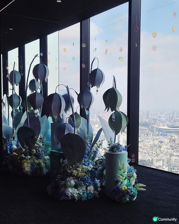 🇯🇵Shibuya Sky限定展打卡攻略‼️春季展