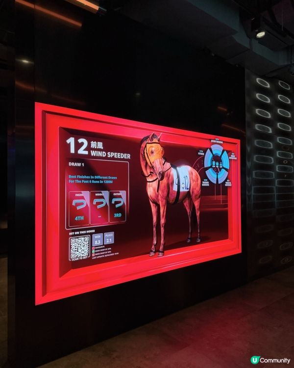 跑馬地新酒吧餐廳 🐎🥂  非會員都入得！