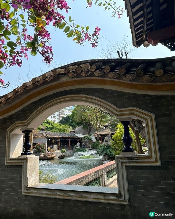 順德佛山嘆美食，文化之旅超滿足！😋🥢