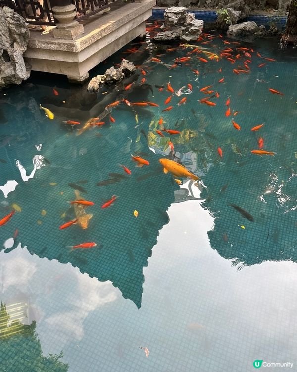 順德佛山嘆美食，文化之旅超滿足！😋🥢