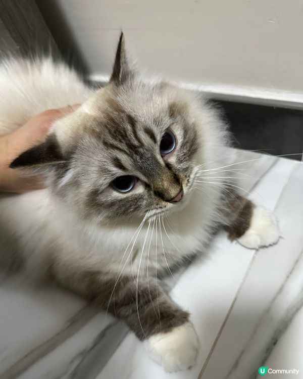 你唔好以為自己個樣可愛就大晒！