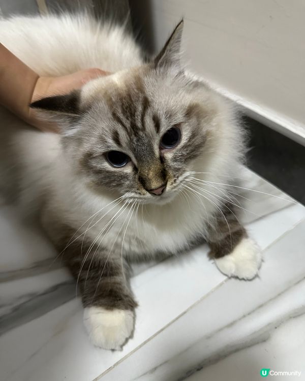 你唔好以為自己個樣可愛就大晒！