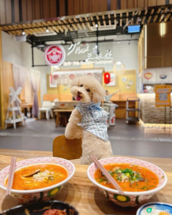 #陪食專員🥢假期去科學園共享空間🐶