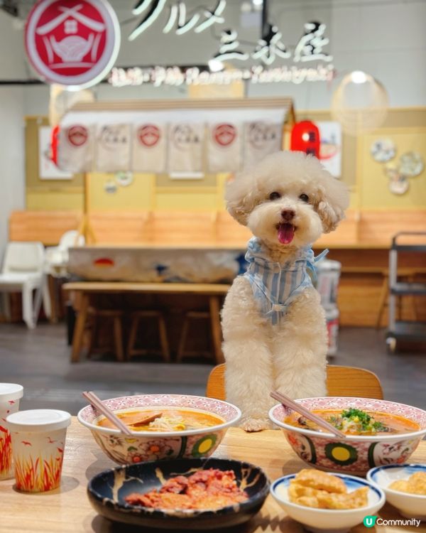 #陪食專員🥢假期去科學園共享空間🐶