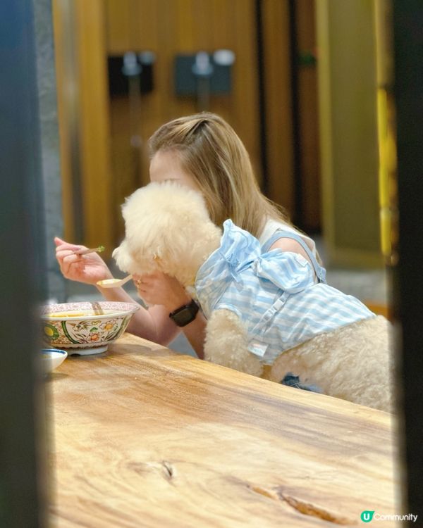 #陪食專員🥢假期去科學園共享空間🐶