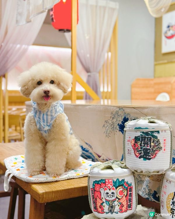 #陪食專員🥢假期去科學園共享空間🐶