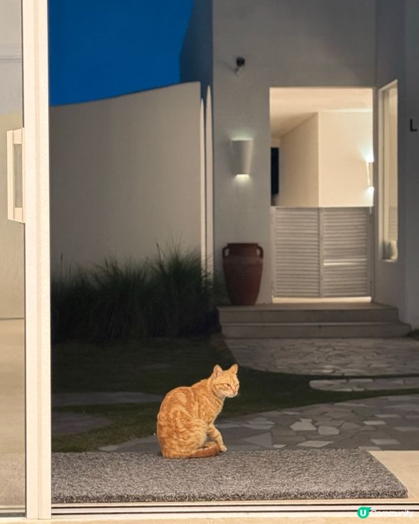 唔洗搭飛機都去到希臘入住白色小屋🤍✨