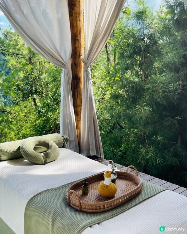 貴州森林芳療之旅🌿