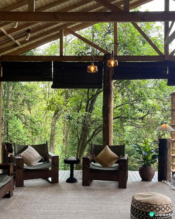 貴州森林芳療之旅🌿