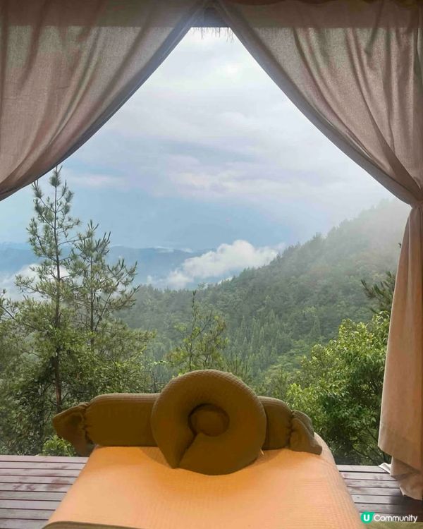 貴州森林芳療之旅🌿