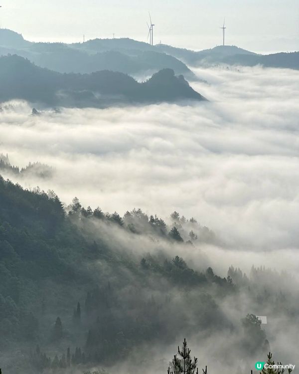 貴州森林芳療之旅🌿