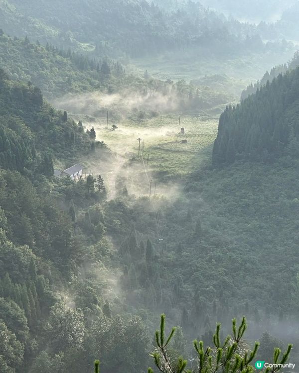 貴州森林芳療之旅🌿