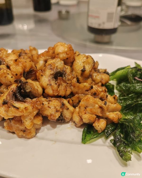 歡迎關注我嘅戶口､訂閱我嘅YouTube頻道, follow...