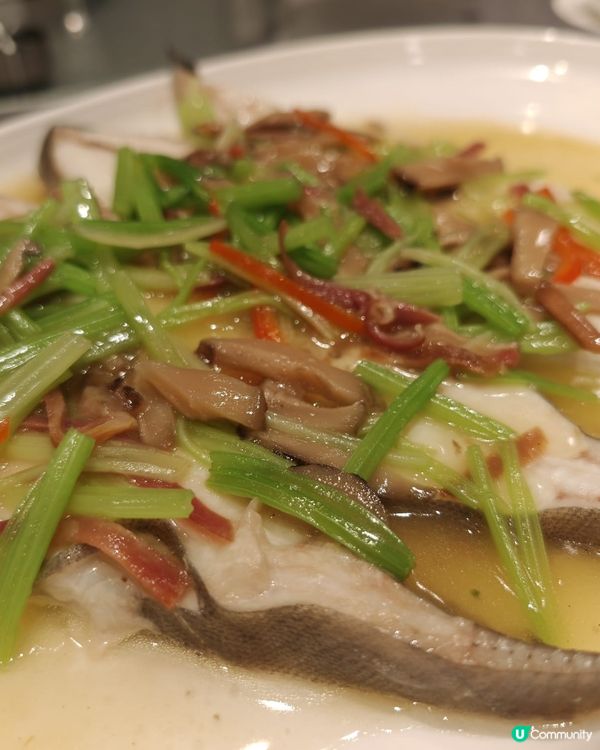 歡迎關注我嘅戶口､訂閱我嘅YouTube頻道, follow...