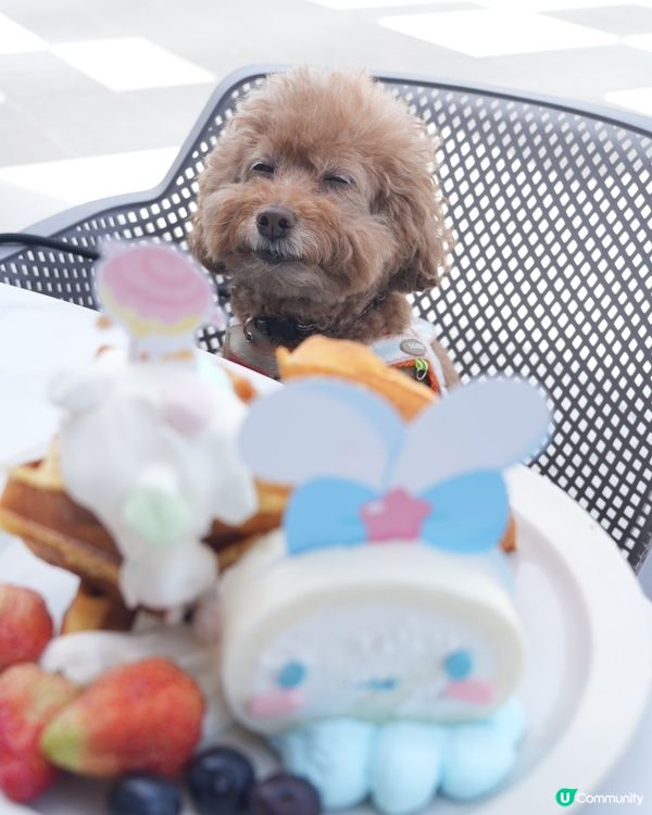 復活節Airside超可愛🩵玉桂狗🤍主題限定店