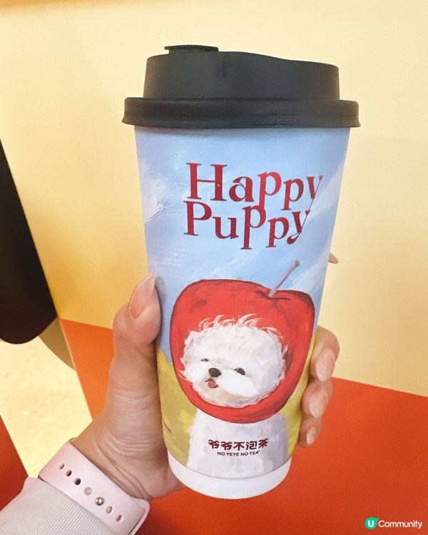 ［深圳｜手搖新寵爺爺不泡茶］