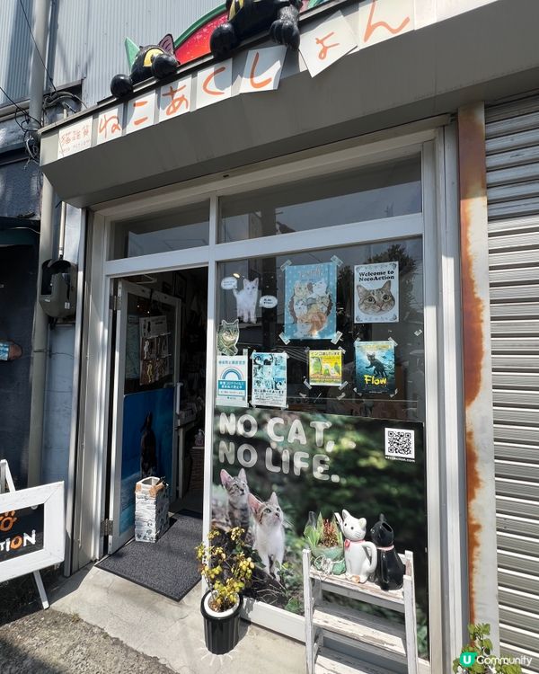 東京購物🛍️ 谷中銀座🇯🇵好逛好行好買，🐱愛貓之人必去