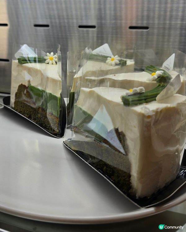 釜山影島打卡聖地！白色夢幻建築，海景咖啡廳☕️