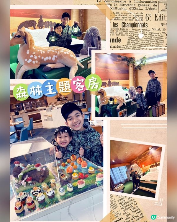 黃金海岸森林主題房