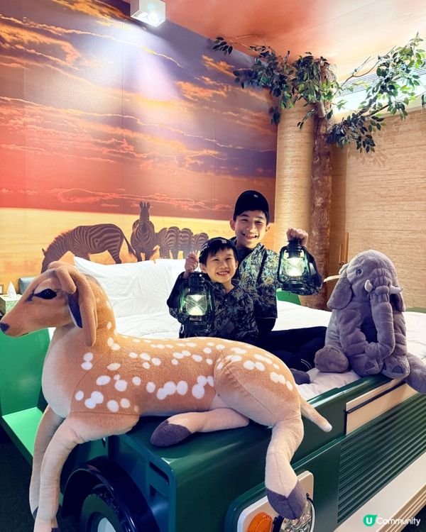 黃金海岸森林主題房