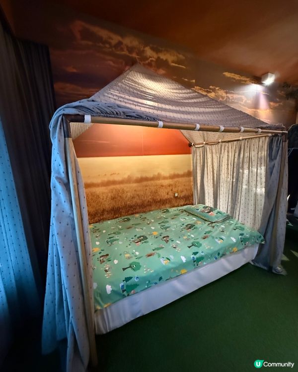 黃金海岸森林主題房