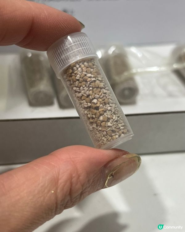 足不出戶睇中醫