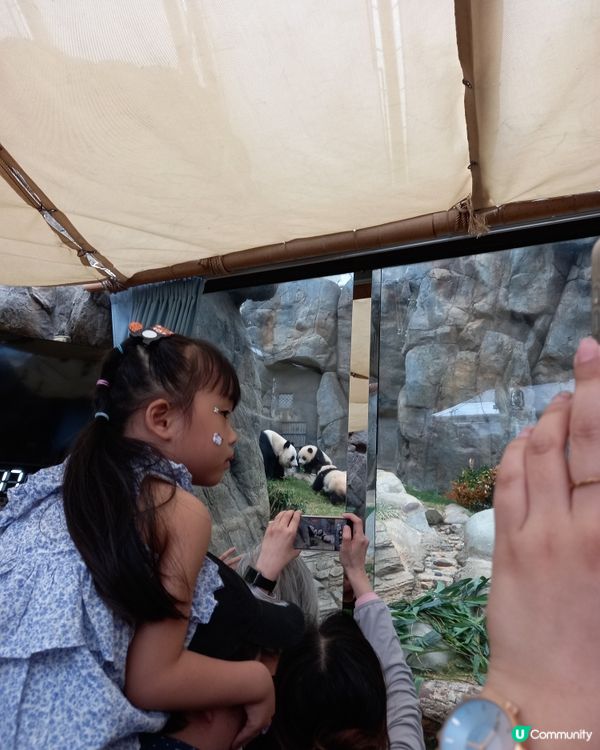 18-4-2025 海洋公園