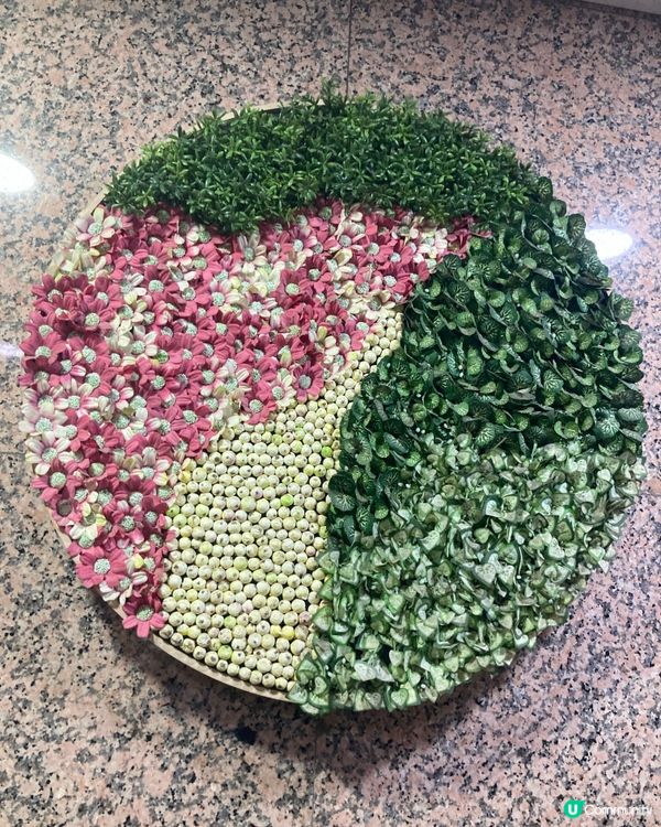 ## 豆腐麵新玩法🍜😋配日式麵條 全新益力多