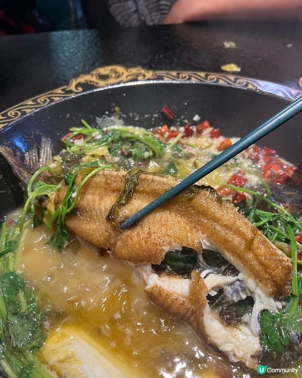 旺角任食天堂！🔥  海鮮烤魚雞煲火鍋任食🤤