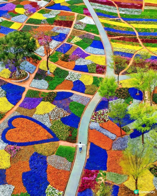 春日小眾遊 🌿 江蘇常州金壇茅山，莫奈花園+逍遙武俠小