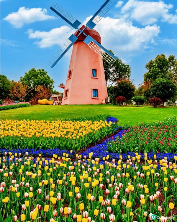 春日小眾遊 🌿 江蘇常州金壇茅山，莫奈花園+逍遙武俠小