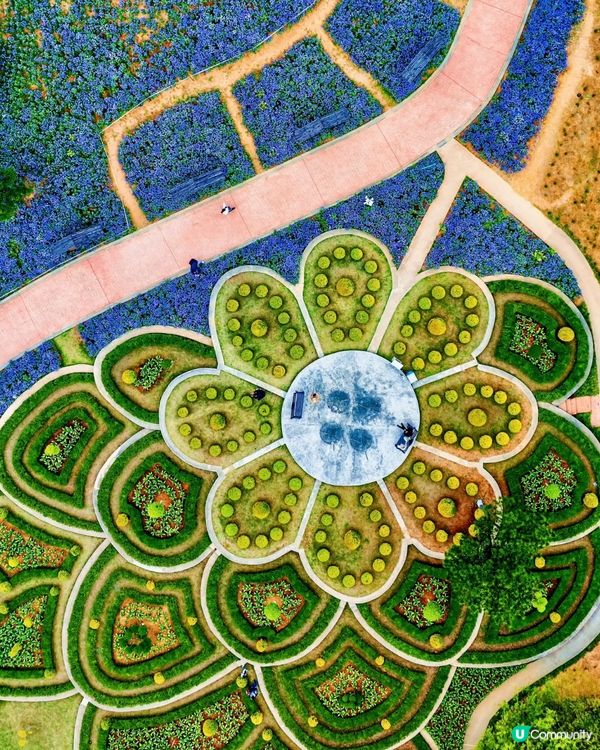 春日小眾遊 🌿 江蘇常州金壇茅山，莫奈花園+逍遙武俠小