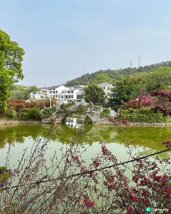 正桂古村 #中國好去處#好去處#chill#隱世打卡點#ch...