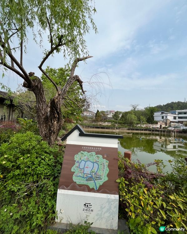 正桂古村 #中國好去處#好去處#chill#隱世打卡點#ch...