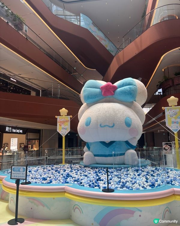 玉桂狗迷必去🩵🩵🩵