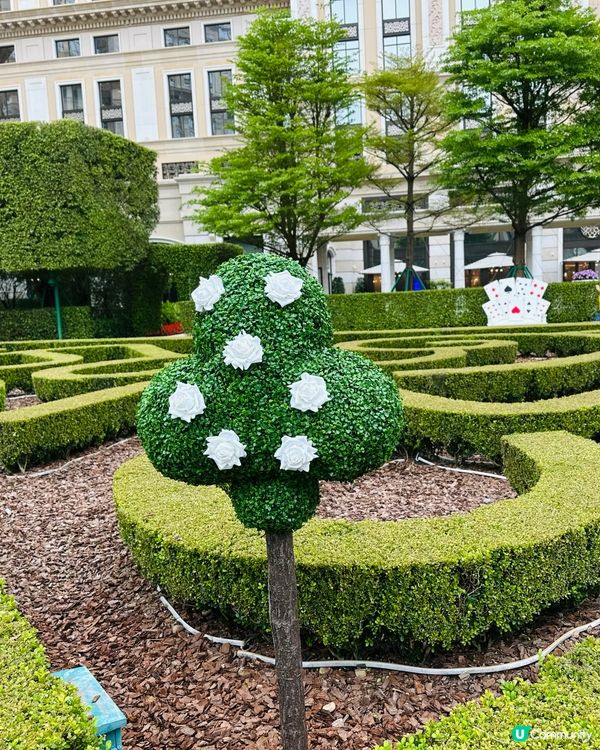 ## 復活節出遊澳門 🐰🎉 路氹城打卡食玩賭博！