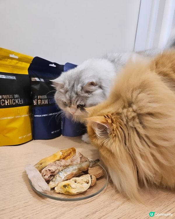 🐶🐱尼甩最愛凍乾零食！😋澳洲製造，天然健康！🎉