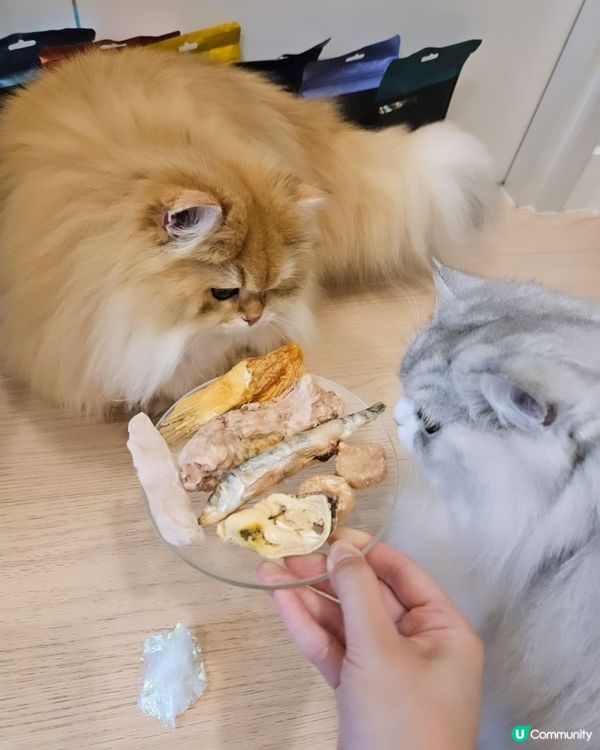 🐶🐱尼甩最愛凍乾零食！😋澳洲製造，天然健康！🎉