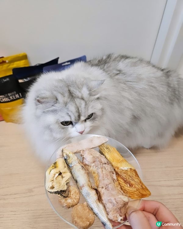 🐶🐱尼甩最愛凍乾零食！😋澳洲製造，天然健康！🎉