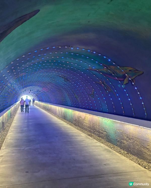 去高雄旗津特色小島Chill 一日☺️ 睇日治時期星空隧道🌃