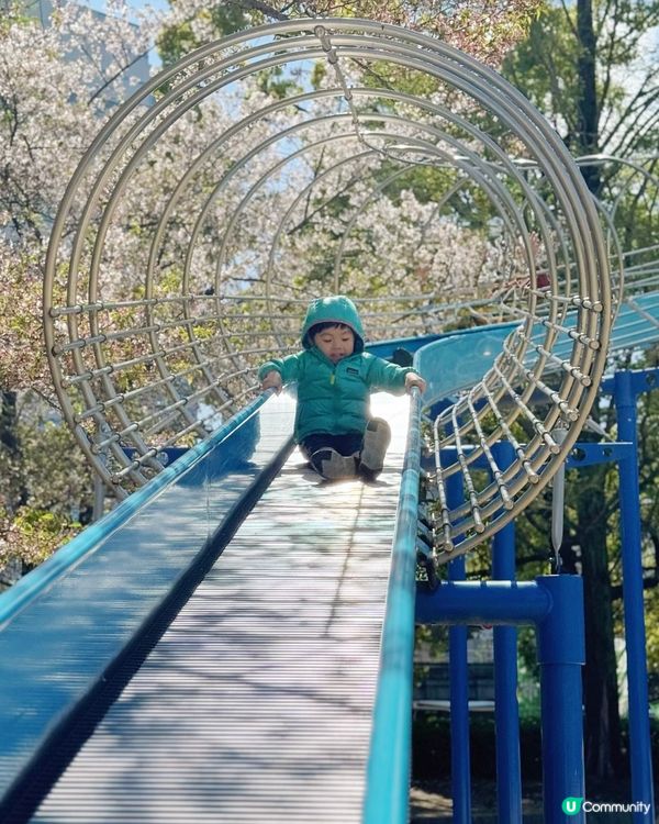 🌸 大阪櫻花公園遊樂場，粉紅浪漫滿瀉！