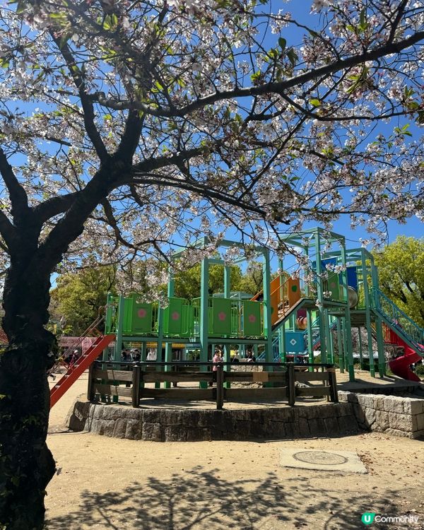 🌸 大阪櫻花公園遊樂場，粉紅浪漫滿瀉！
