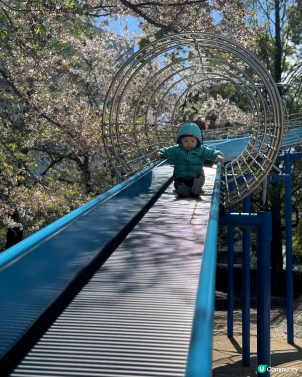 🌸 大阪櫻花公園遊樂場，粉紅浪漫滿瀉！