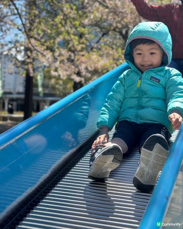 🌸 大阪櫻花公園遊樂場，粉紅浪漫滿瀉！
