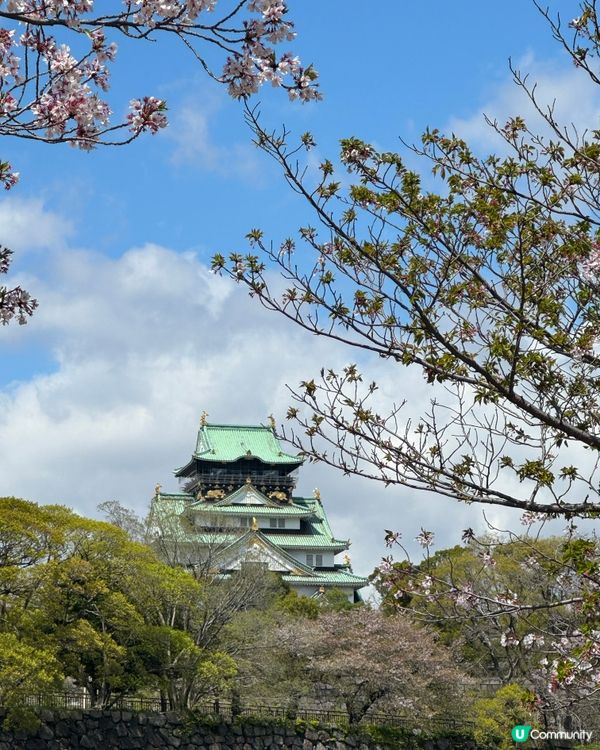 🌸 大阪櫻花公園遊樂場，粉紅浪漫滿瀉！