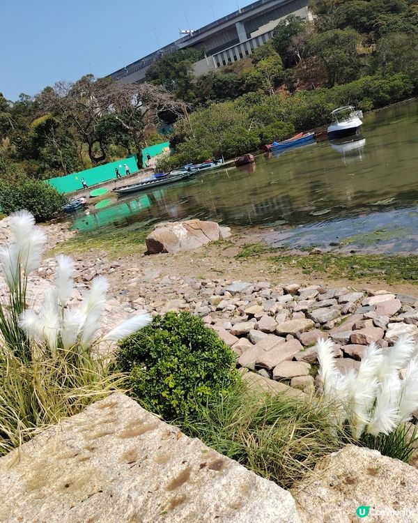 #別要再蝨眠」馬灣之旅