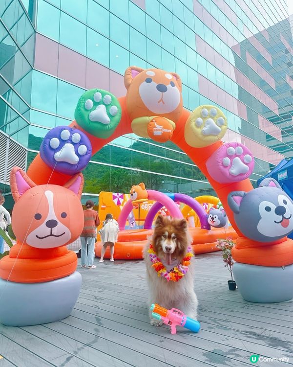 Homesquare萌寵潑水節正正😍