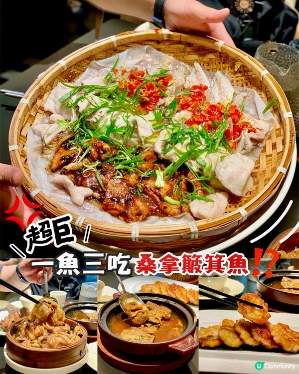 ✨深圳🇨🇳-⚠️💬超巨桑拿簸箕鱼⁉️💢一魚三吃有什麼味道⁉️📍東江順德